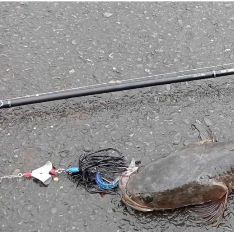 【LUREER】 BUZZ BAIT 巴雜 19克 遠投 魚虎 泰國鱧 雷強 溝呆 路亞