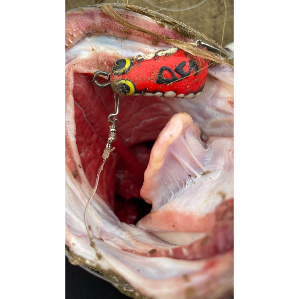 【LUREER】 UMPAN PS ?? Softfrog Bebek 印尼雷蛙 4/5/6公分 印尼製 路亞 雷強