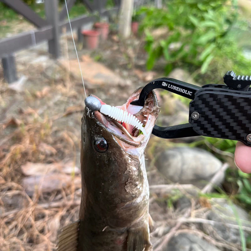 【LUREER】微物根魚 小T尾 軟蟲 3.5公分 20入 微物 根釣 溪流 鉛頭鉤 路亞 軟蟲 珍珠石斑 根魚