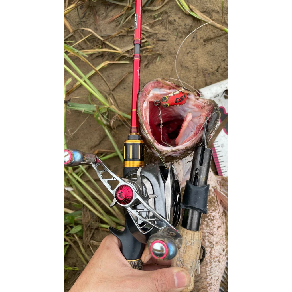 【LUREER】 UMPAN PS ?? Softfrog Bebek 印尼雷蛙 4/5/6公分 印尼製 路亞 雷強