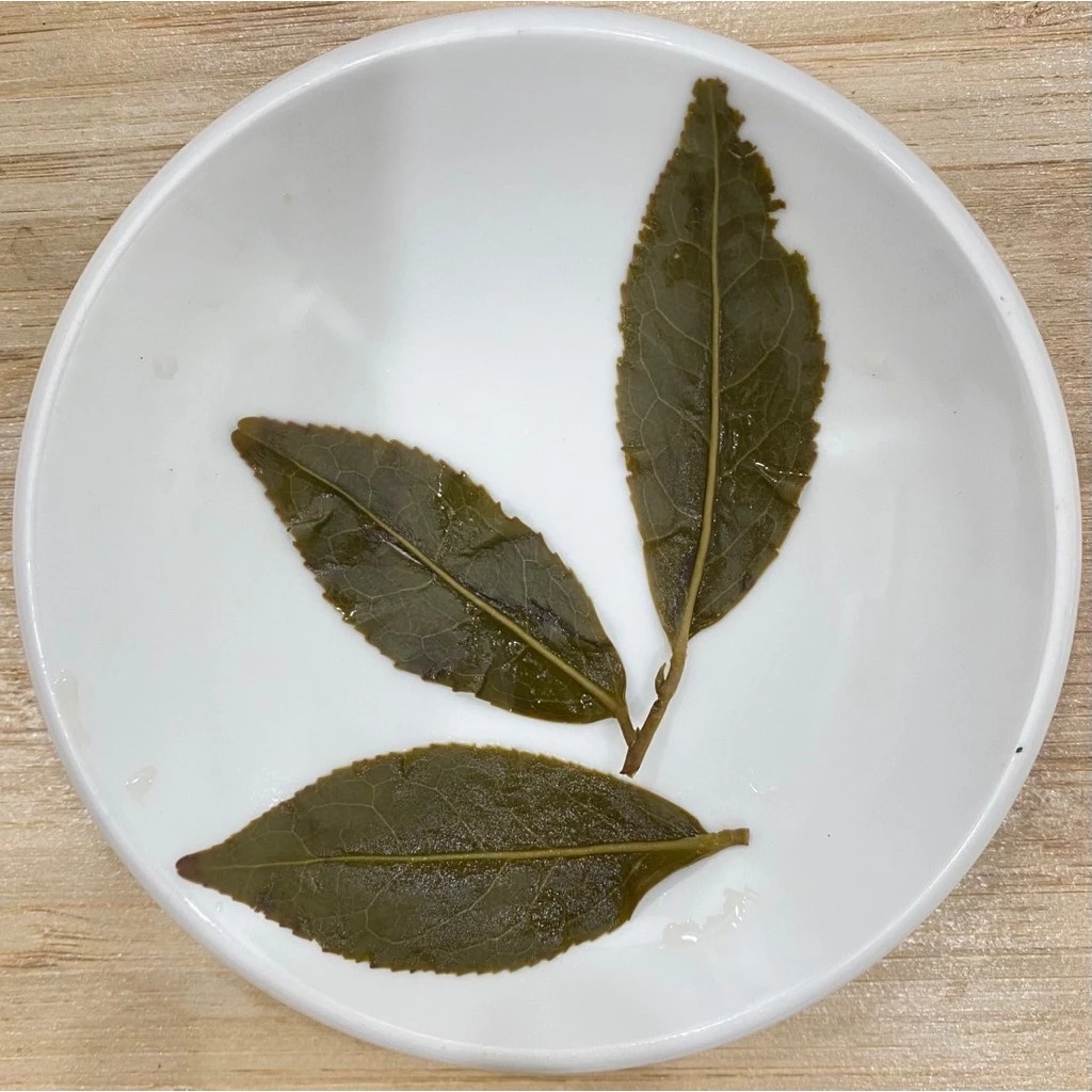 阿里山高山烏龍茶禮盒