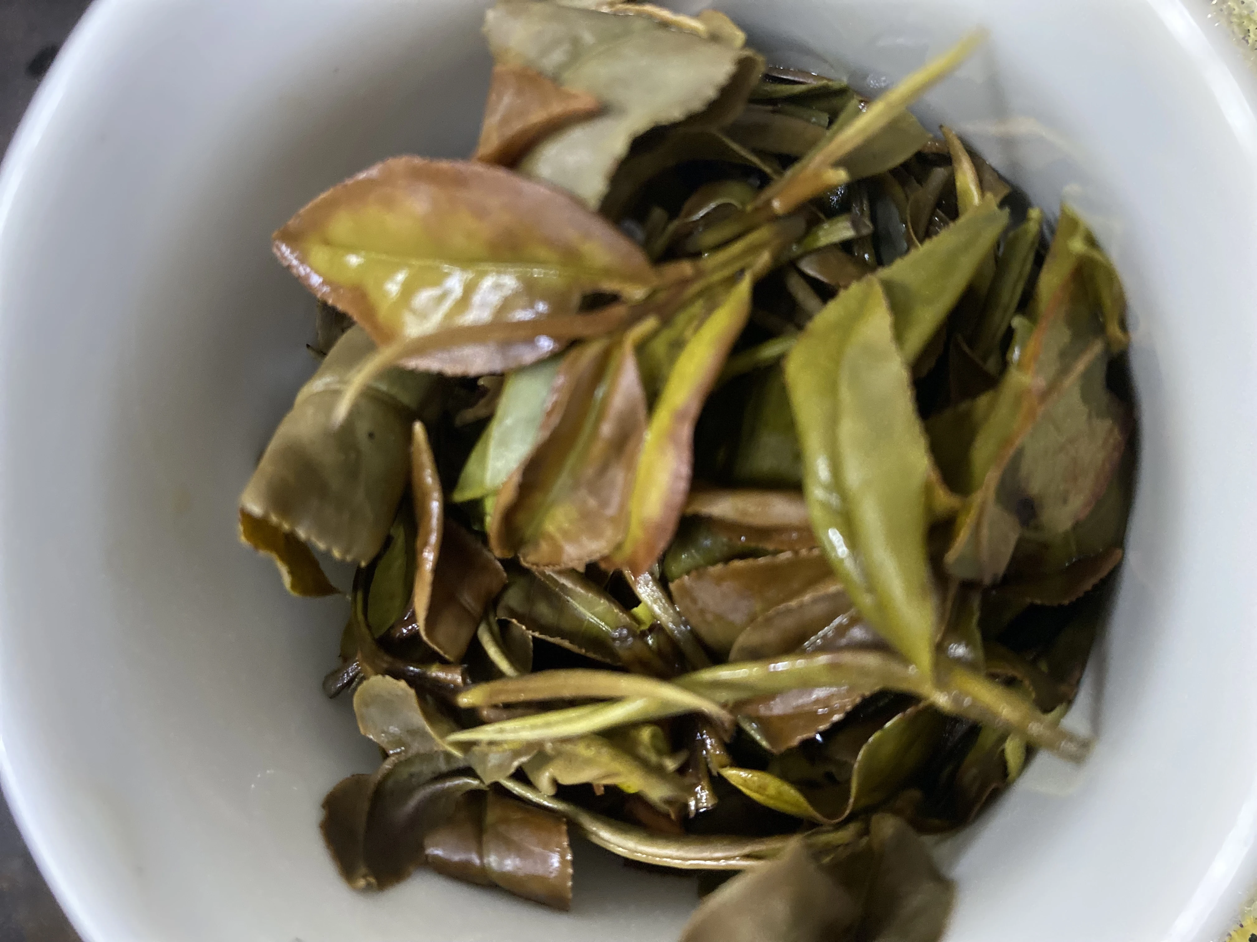 有機紅韻白茶（臺茶21）