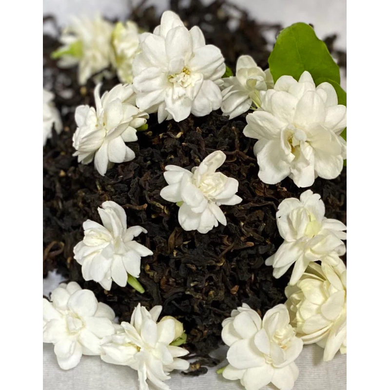 茉莉花不知春茶