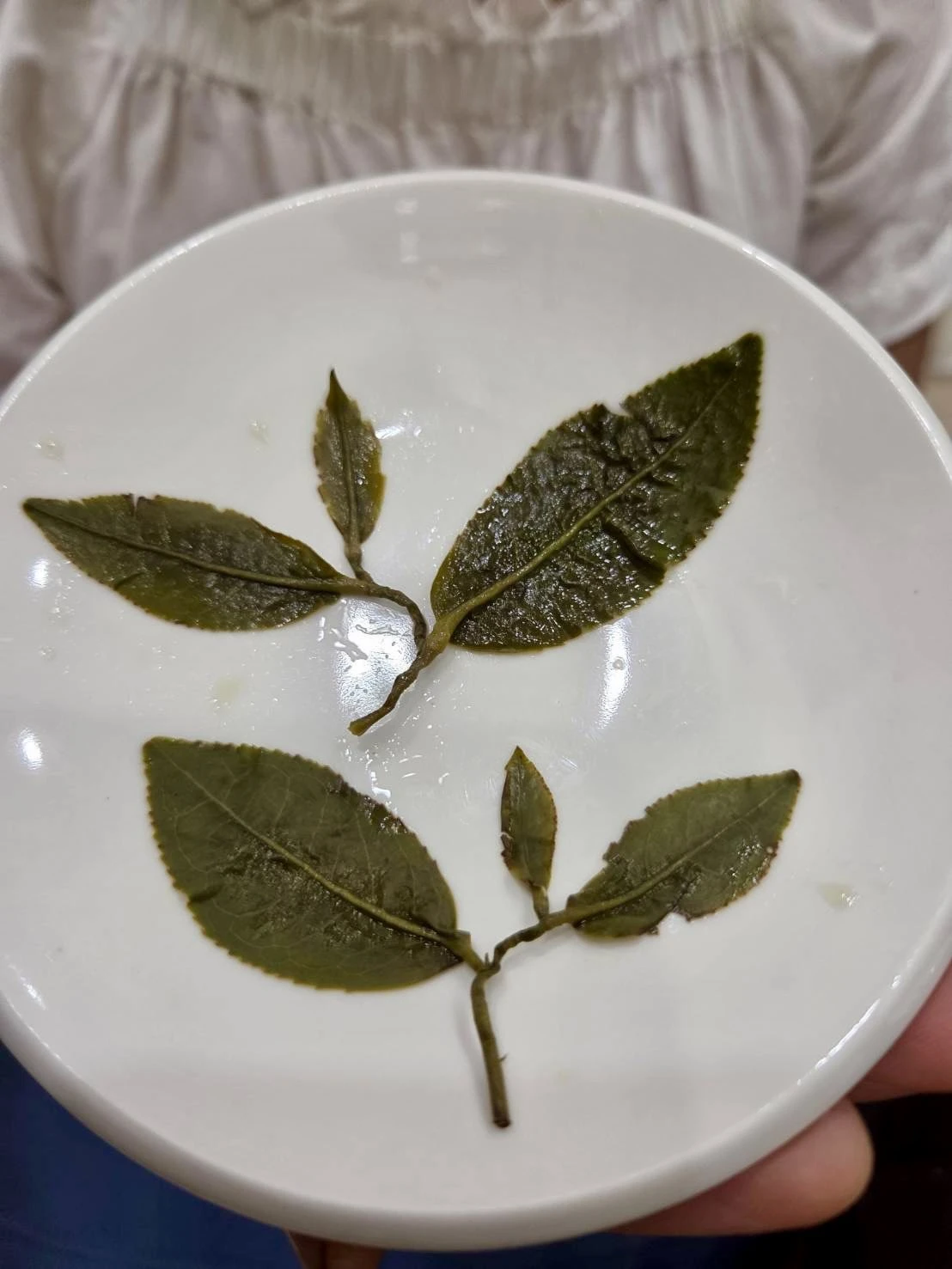 阿里山高山金萱茶禮盒