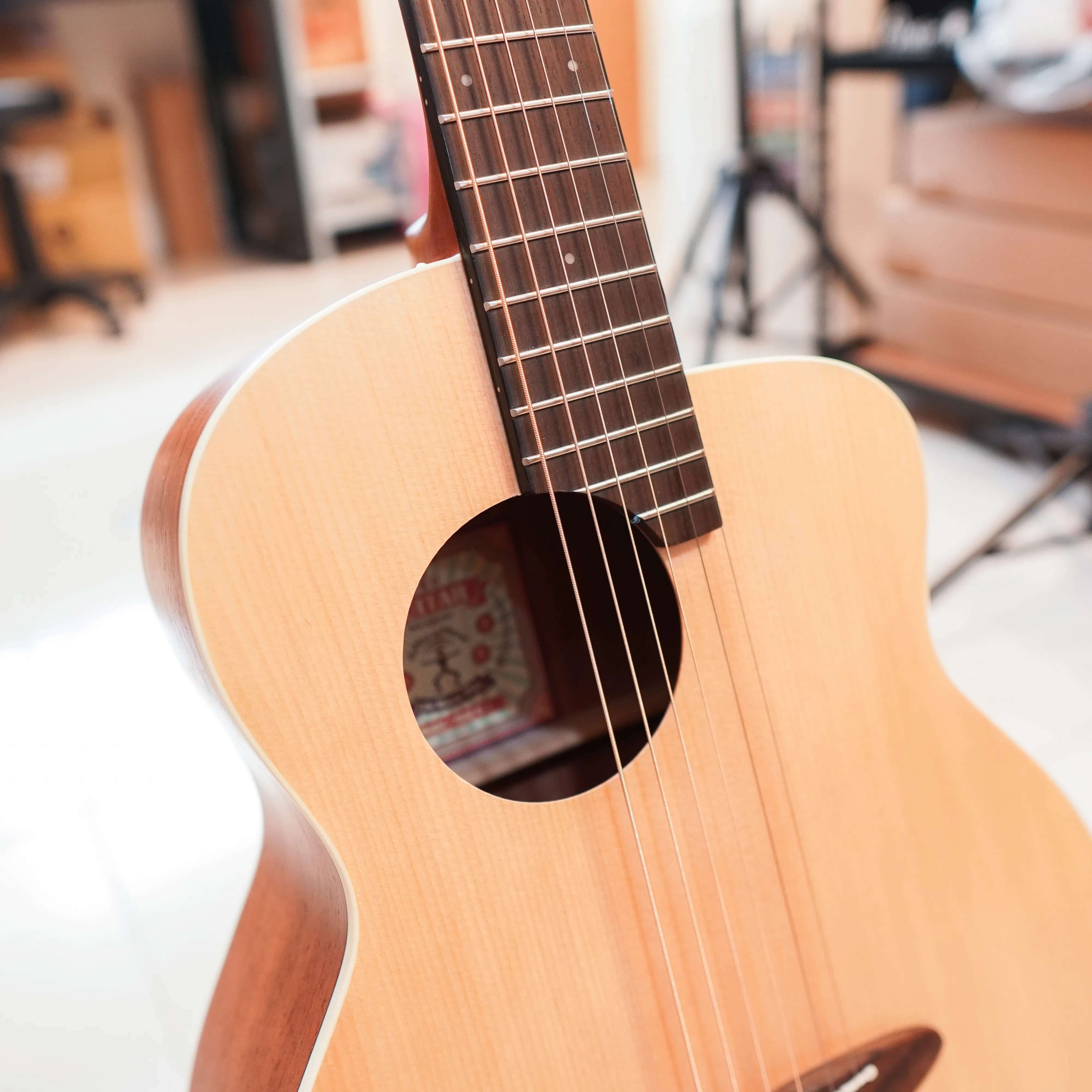 aNueNue Bird M1 E