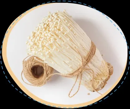 金針菇