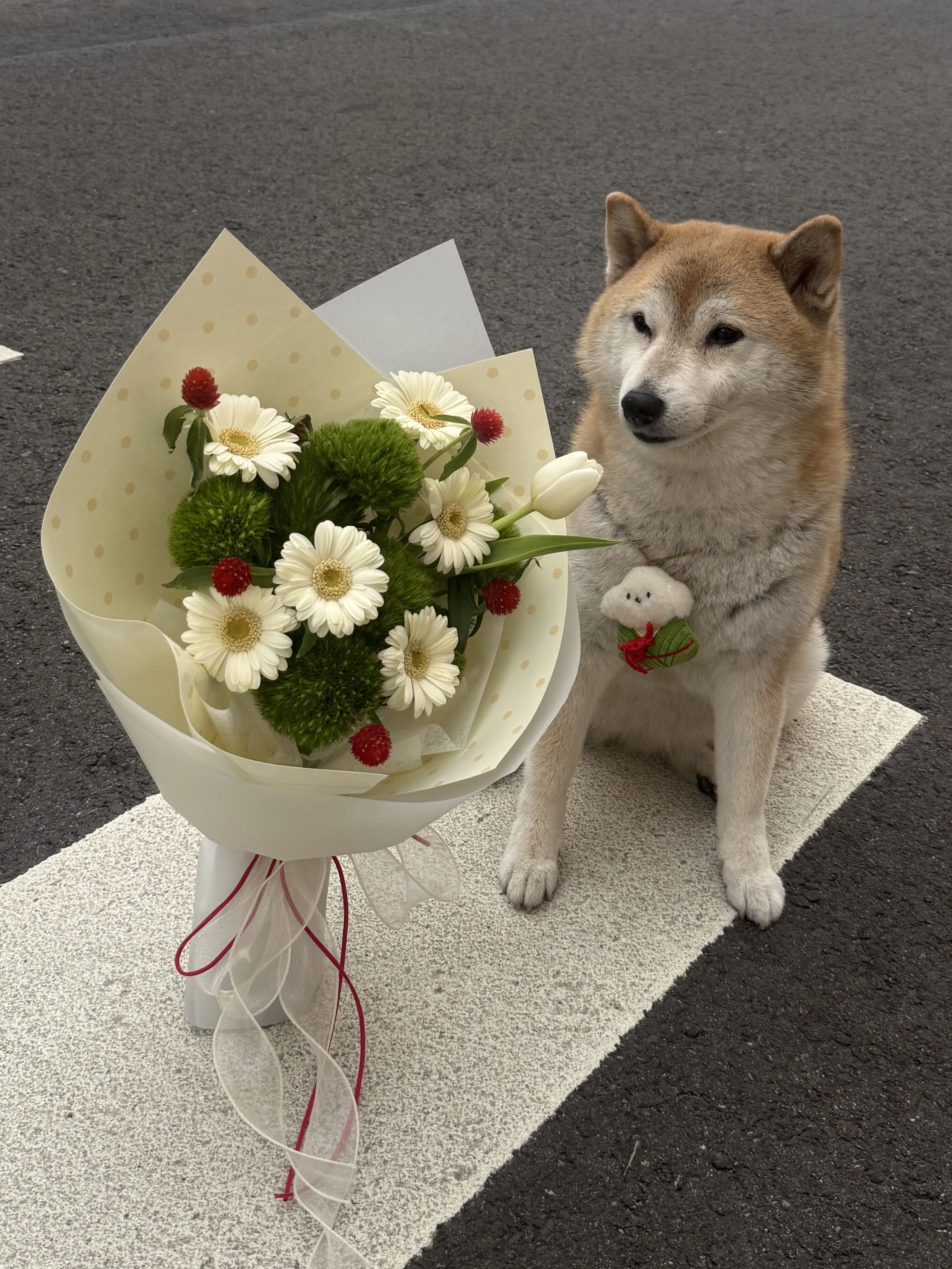 圓仔綠鮮花花束