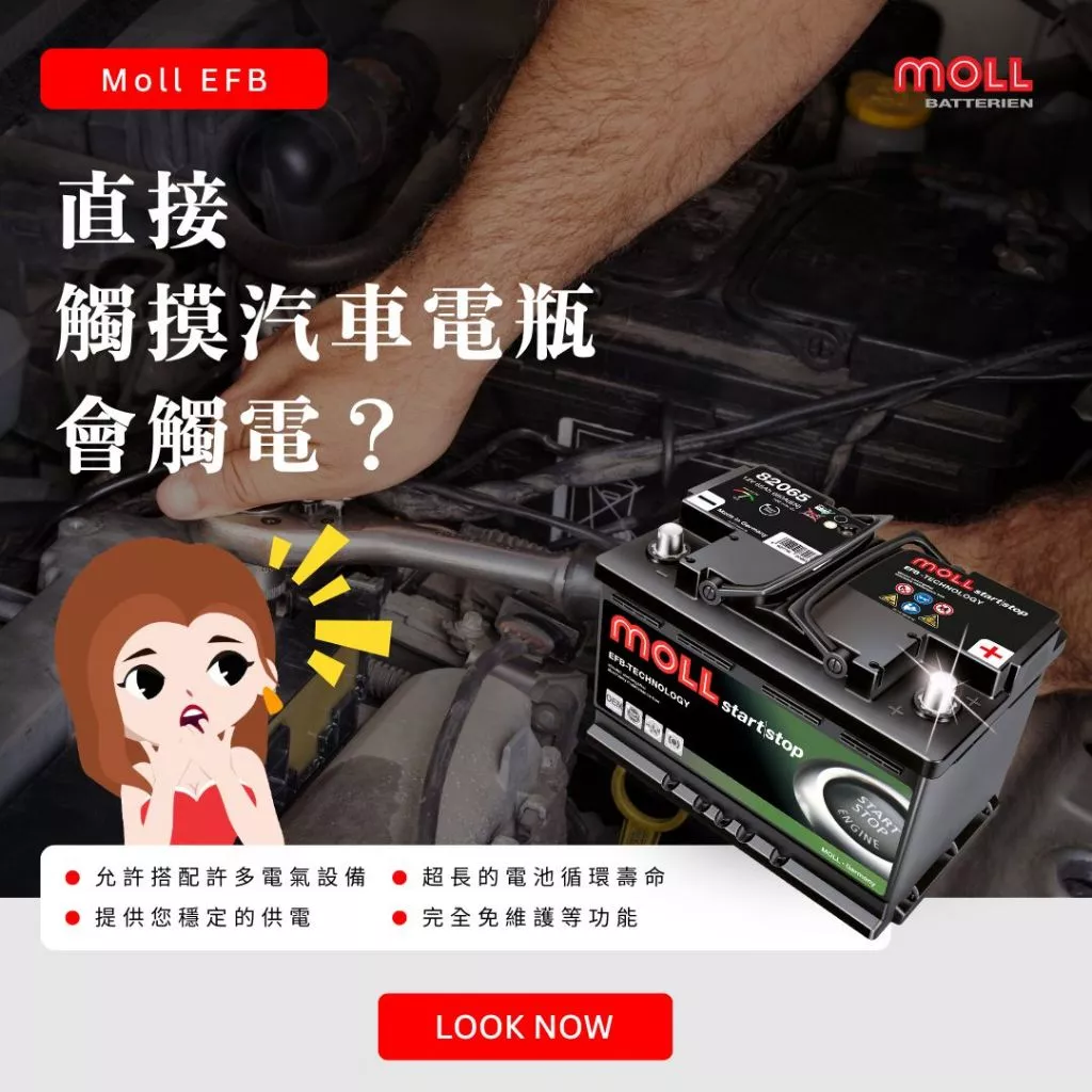 MOLL 82075 Start-Stop EFB電瓶 高性能 12V 75AH 760CCA 免加水汽車電池 德國製