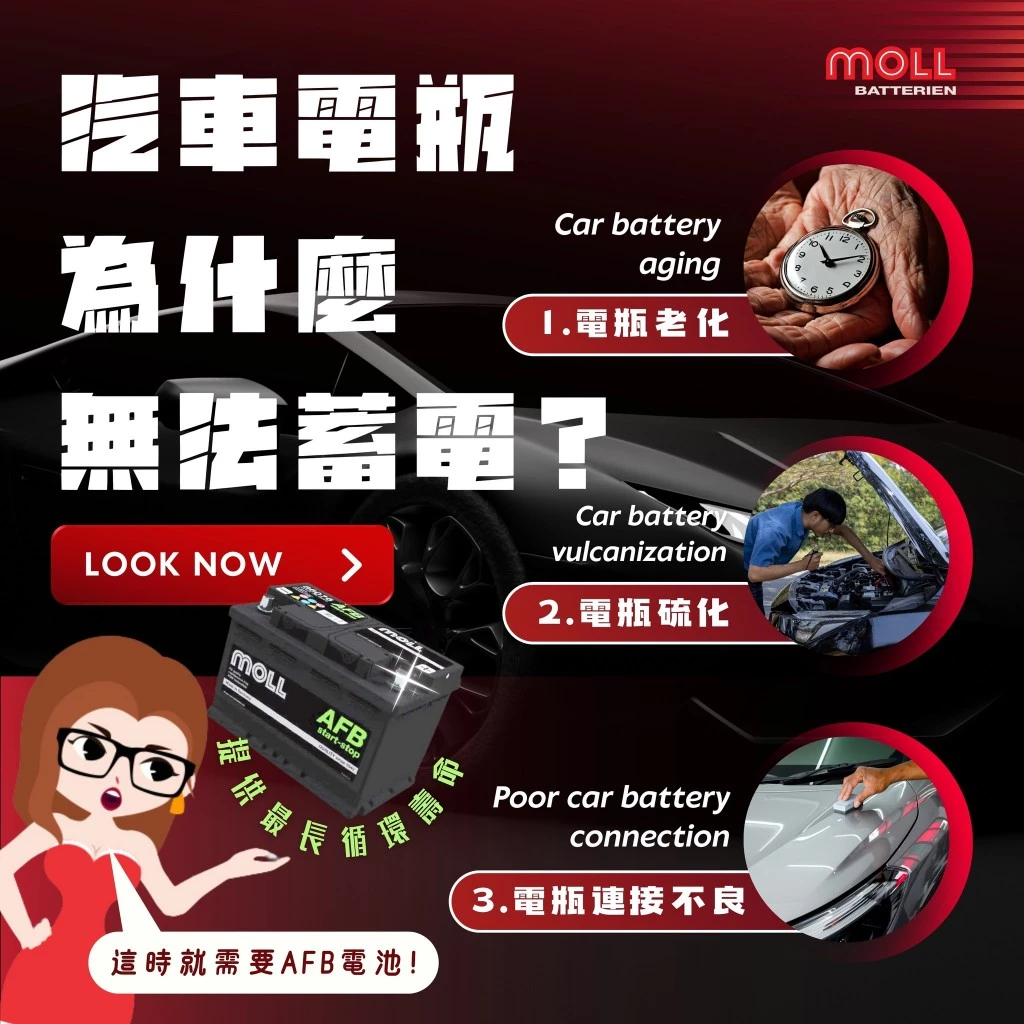 MOLL 86076 Start-Stop AFB電瓶 高性能 12V 76AH 760CCA 免加水汽車電池 德國製造