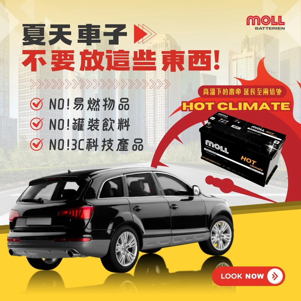 MOLL 85083 HOT Climate電瓶 高性能 12V 83AH 700CCA 免加水汽車電池 德國製