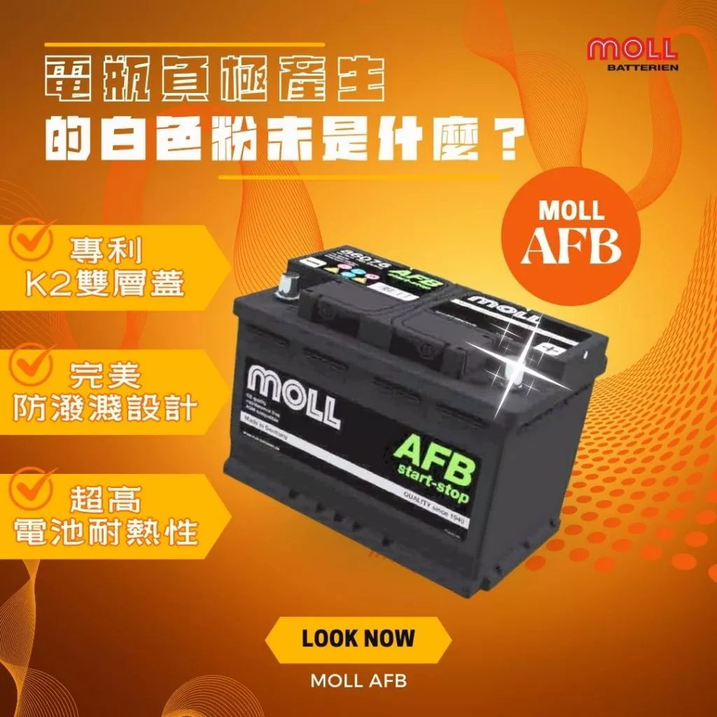 MOLL 86106 Start-Stop AFB電瓶 高性能 12V 106AH 980CCA 免加水汽車電池 德國製