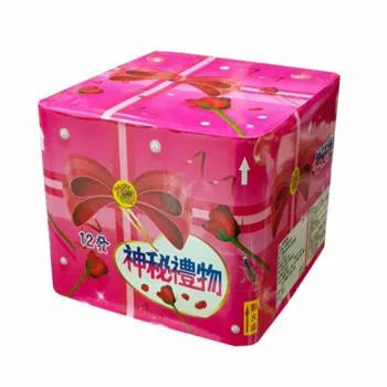 12發神秘禮物