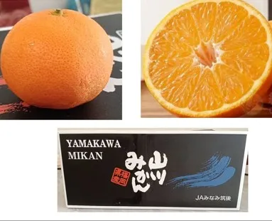 日本福岡山川蜜柑(2Kg )原裝箱 