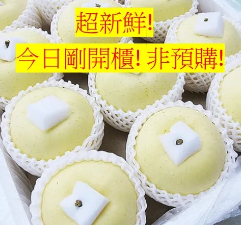 日本青森金星蘋果 一顆130元