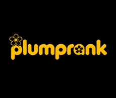 plumprank喬斌電商