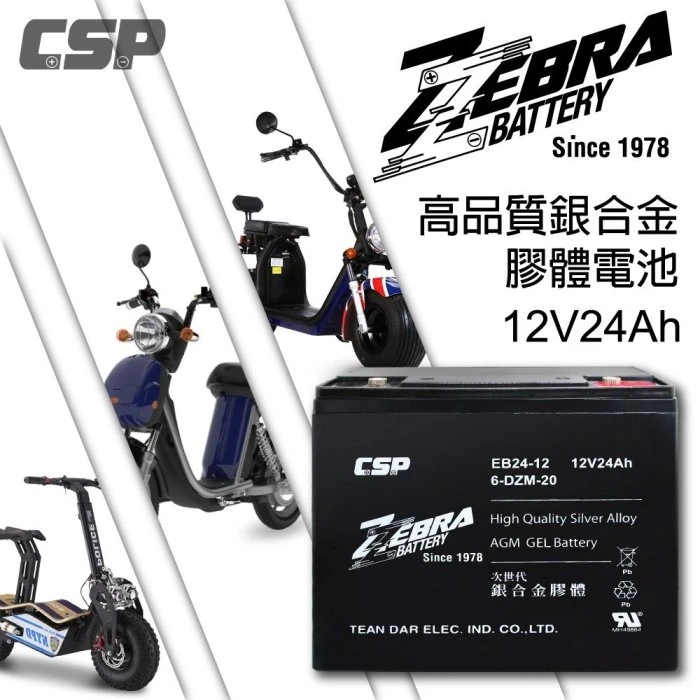 一組4顆區 斑馬牌 EB24-12 銀合金 膠體電池12V24Ah/等同6-DZM-20.電動車電池.REC22-12