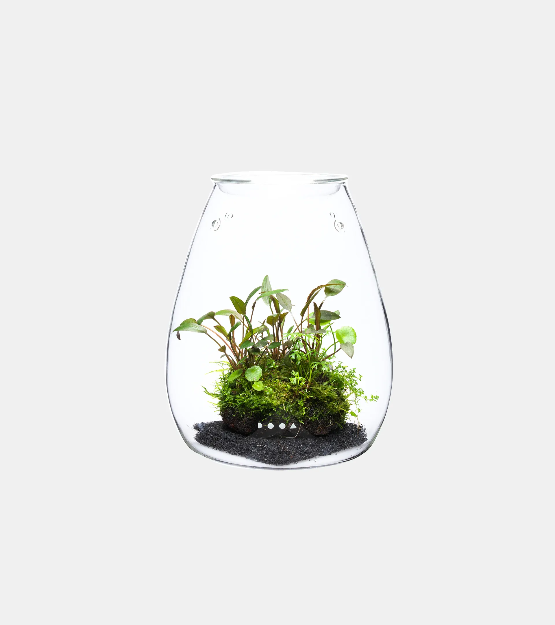 DOOA GLASS POT SHIZUKU 水滴型植物生態瓶