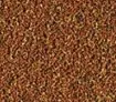 Tropical 德比克 Nanovit Granulat 強效免疫力小型魚顆粒飼料