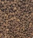 Tropical 德比克 Welsi Gran 抗緊迫鼠魚底棲魚全營養飼料