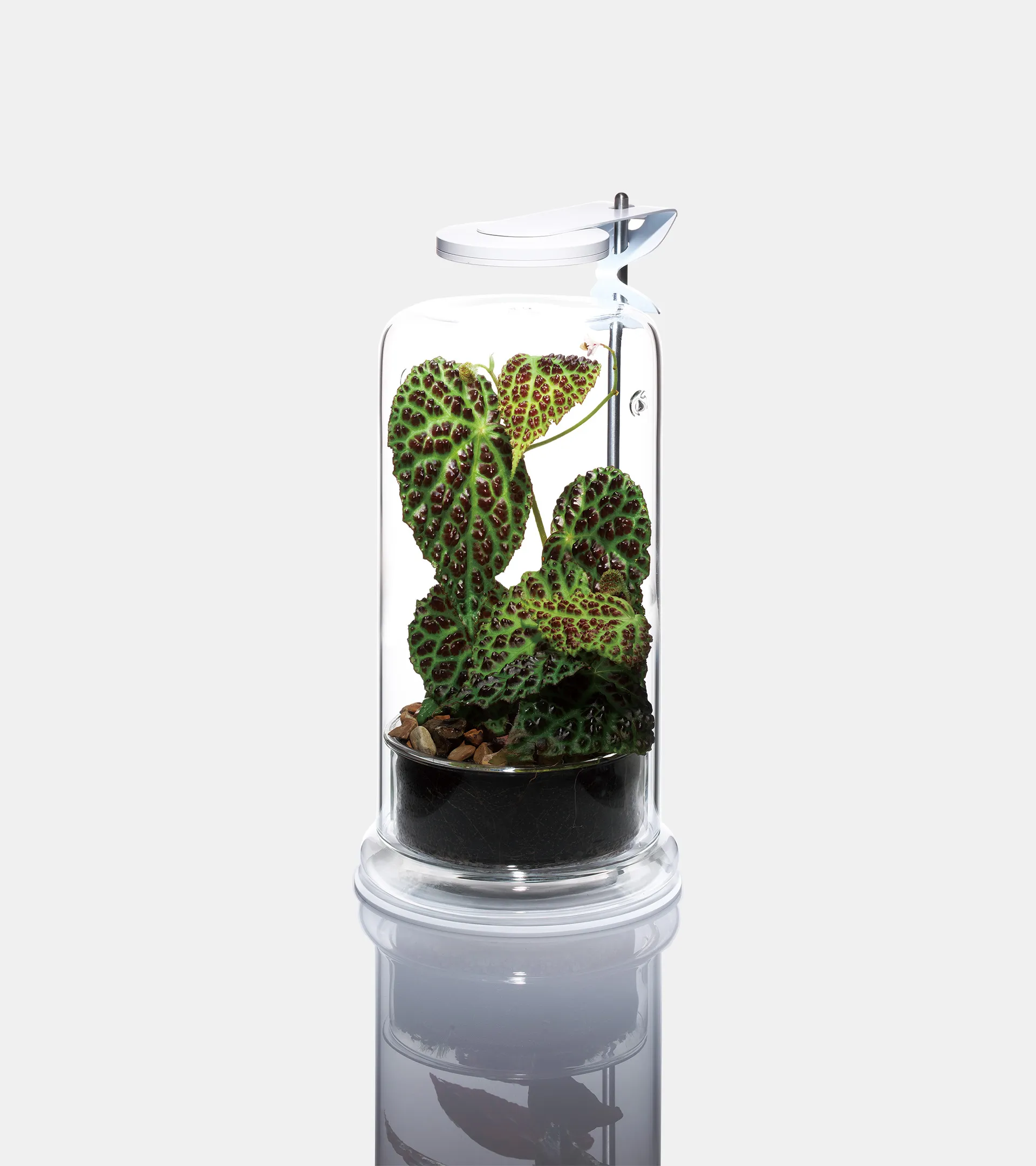 DOOA LIGHT STAND Z  Z 型燈架