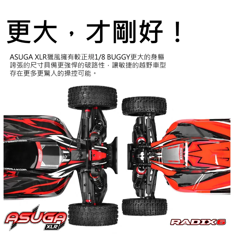 《1/8 無刷越野 ASUGA XLR 6S》｜Team Corally遙控車｜