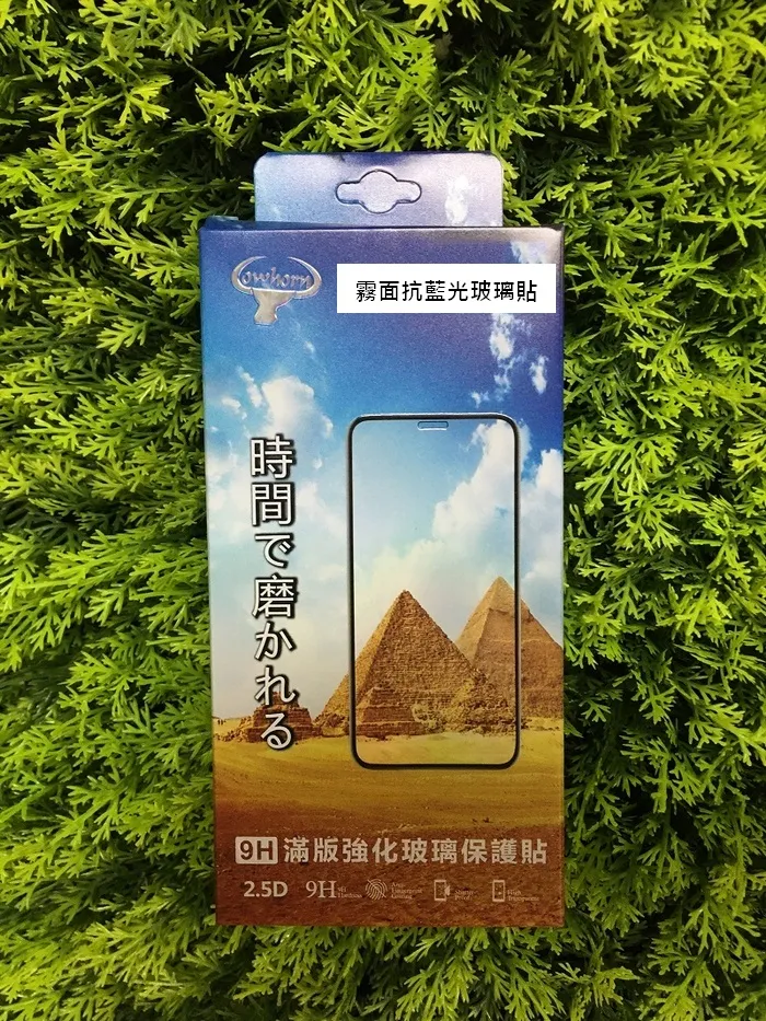霧面藍光-牛角-滿版-iPhone 13 Pro Max (6.7)-工