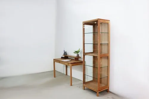 MORE Quiet Display Cabinet  安靜展示櫃  |  玻璃門展示櫃 |  公仔|  收藏櫃| 