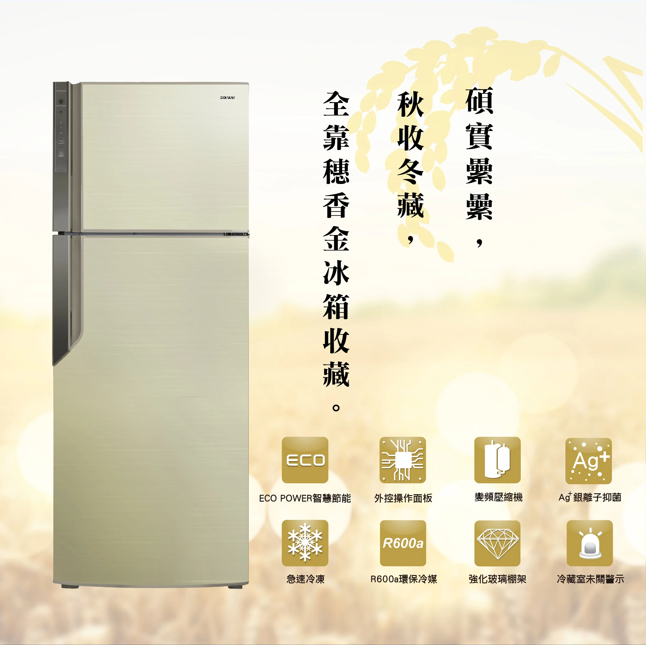 禾聯HRE-B4823V變頻雙門電冰箱485L