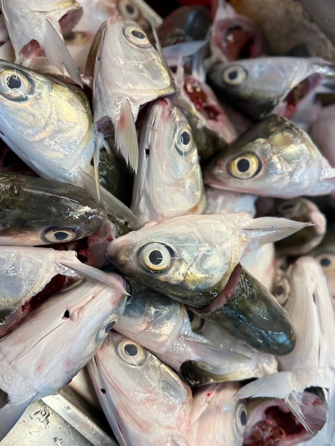 虱目魚頭