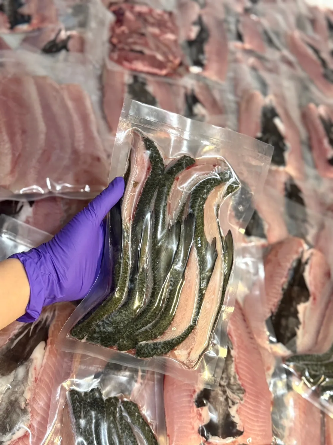 虱目魚背鰭（魚嶺）
