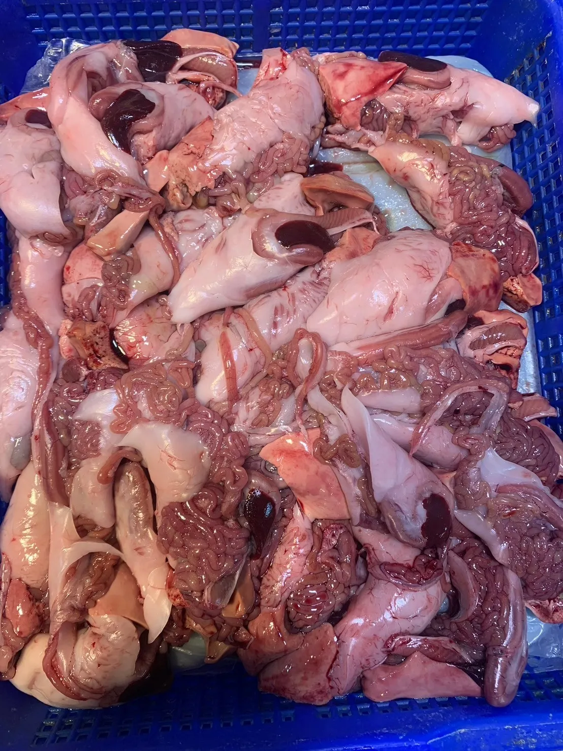 預購/虱目魚腸/限購2包/超過2包要多等哦（已去膽）