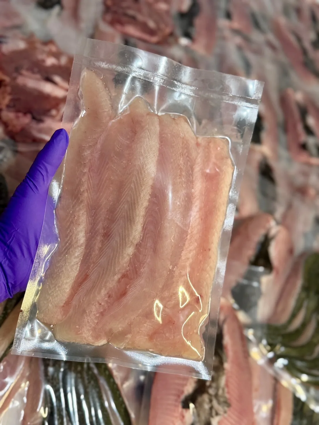 魚肉（柳）/訂單已超標/暫不接受下訂
