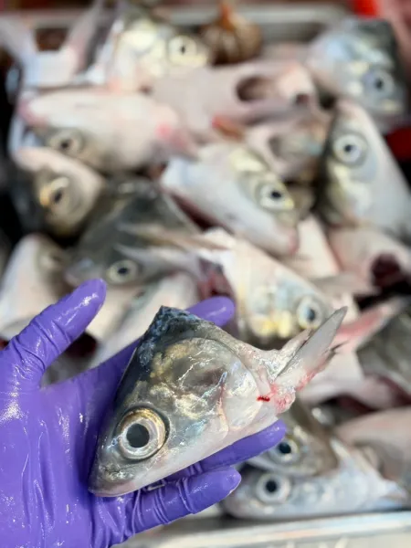 虱目魚頭