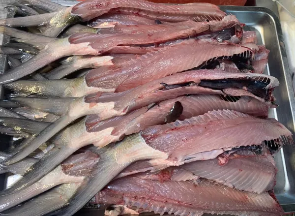 虱目魚骨