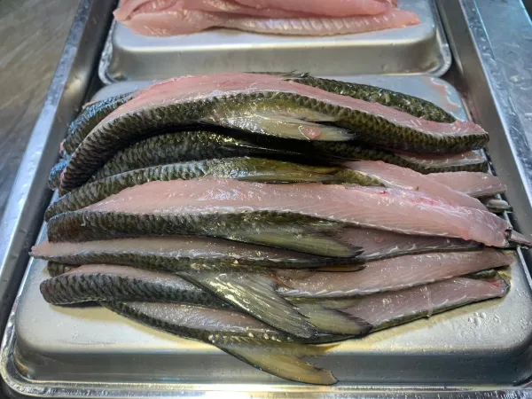 虱目魚背鰭（魚嶺）