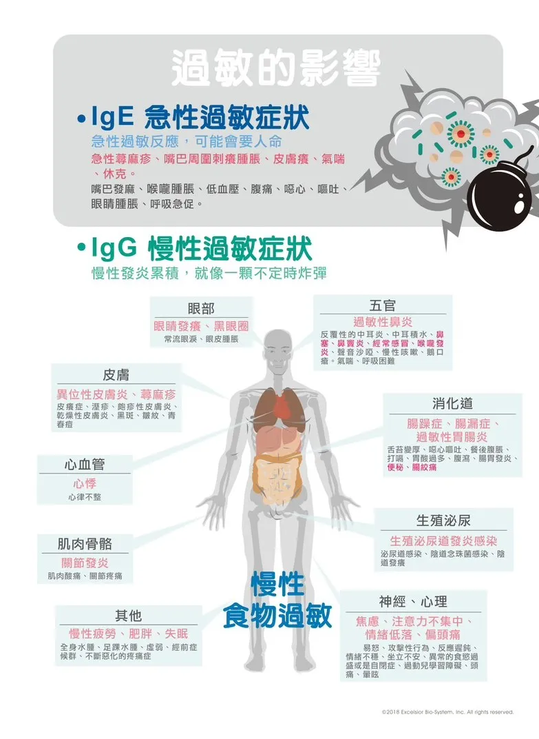過敏原檢測｜A118項 急性過敏原檢測