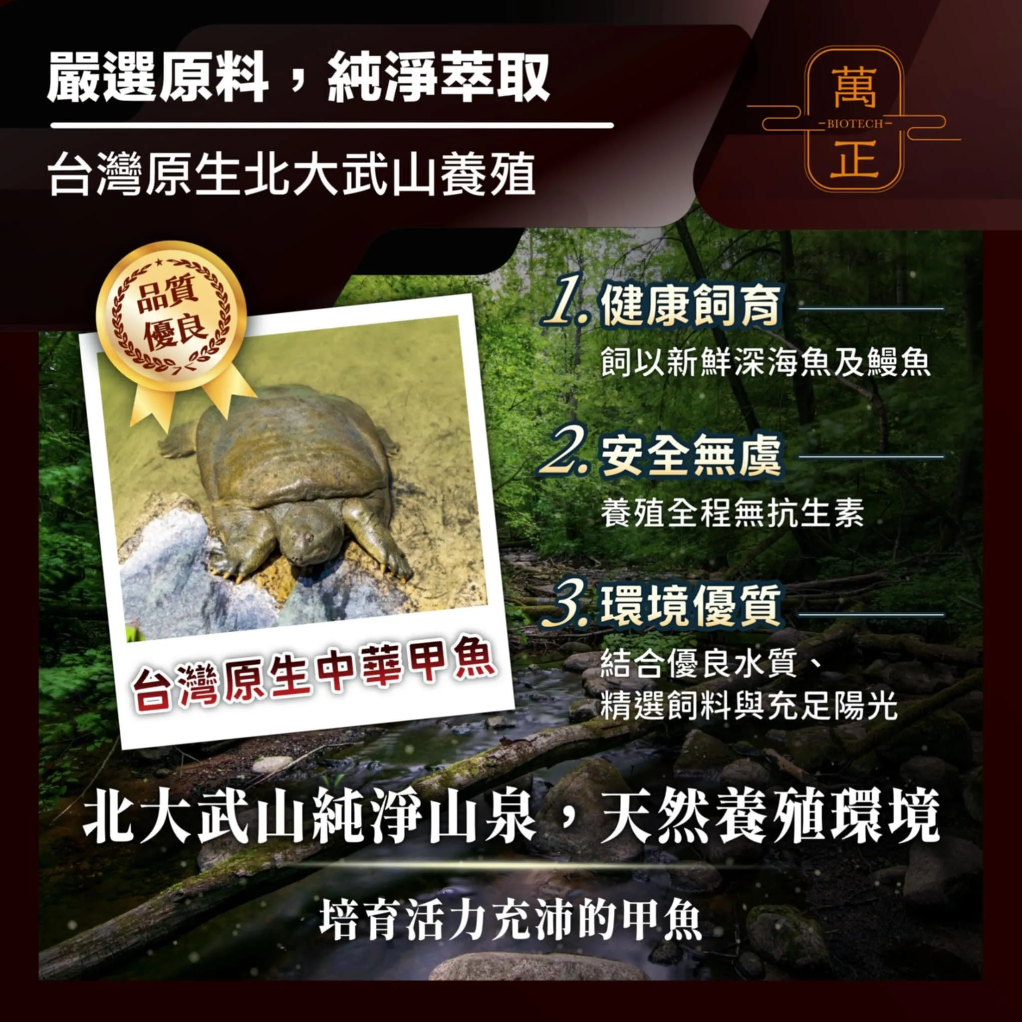 活力頌 專利甲魚精 專利鱉精膠囊  甲魚 甲魚血 甲魚鞭 高達634mg 全甲魚精華