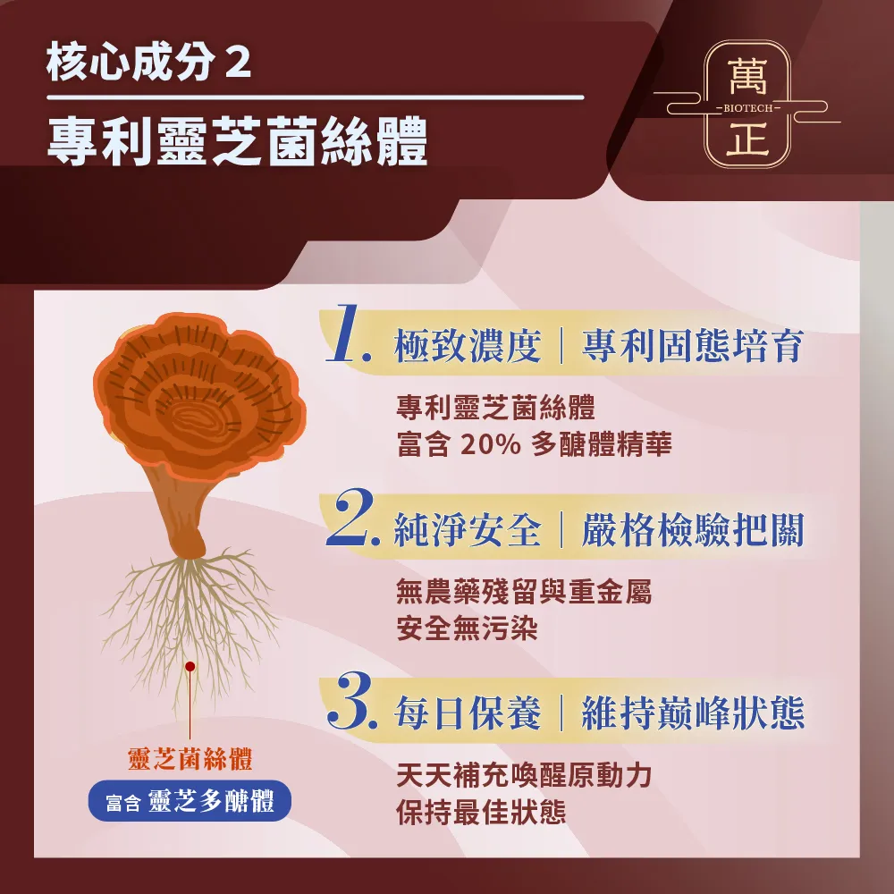 蟲草靈芝王  業界靈芝多醣體含量最高(>40%)  護肝 抗氧化 滋補強身 純素