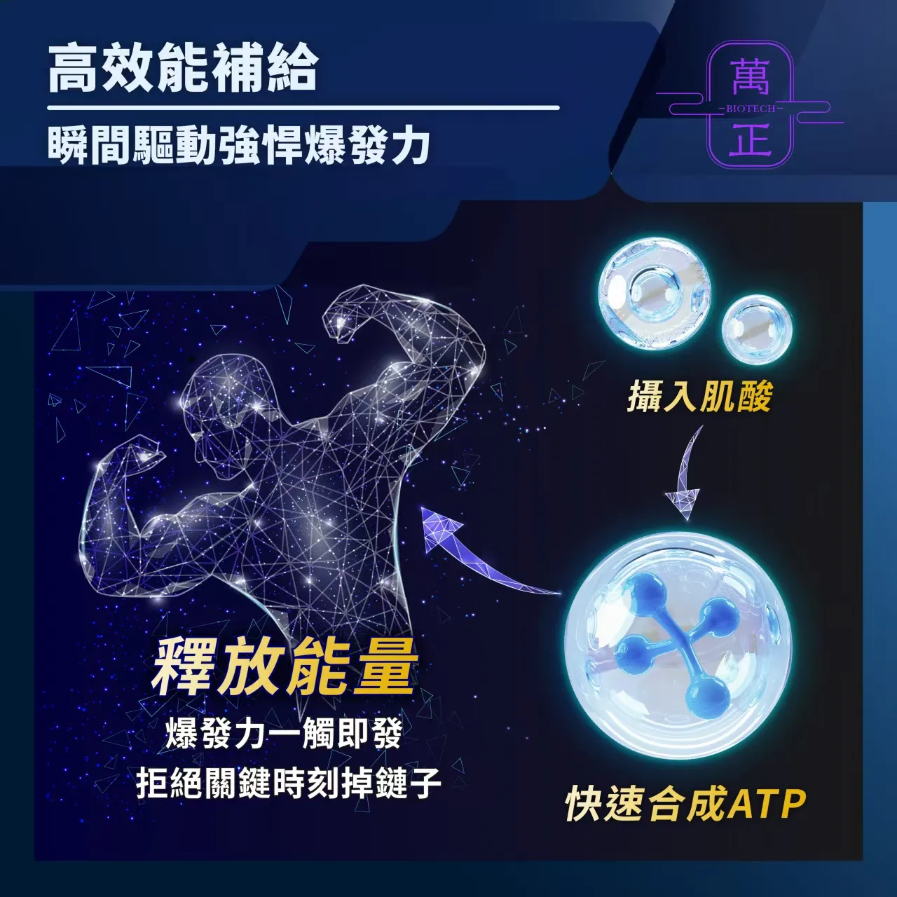 純肌酸粉末 iCreatine 一水肌酸 Creatine Monohydrate 素食者補充 美國知名大廠原料 阿曼塔耶夫強力推薦