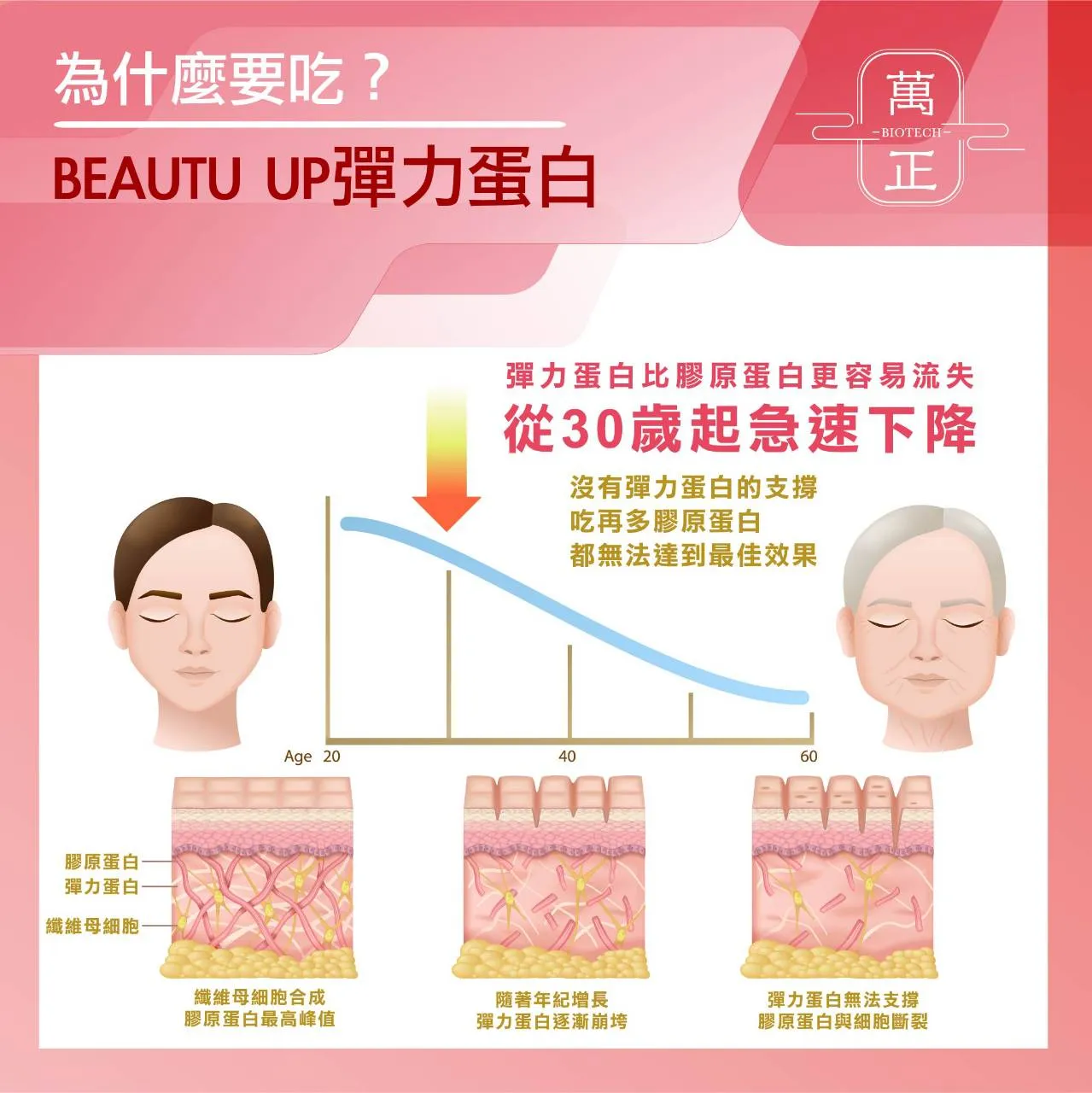 【4折 即期】BEAUTY UP 彈力蛋白 彈力蛋白是把膠原蛋白撐起來的關鍵 送豬膠原蛋白50日