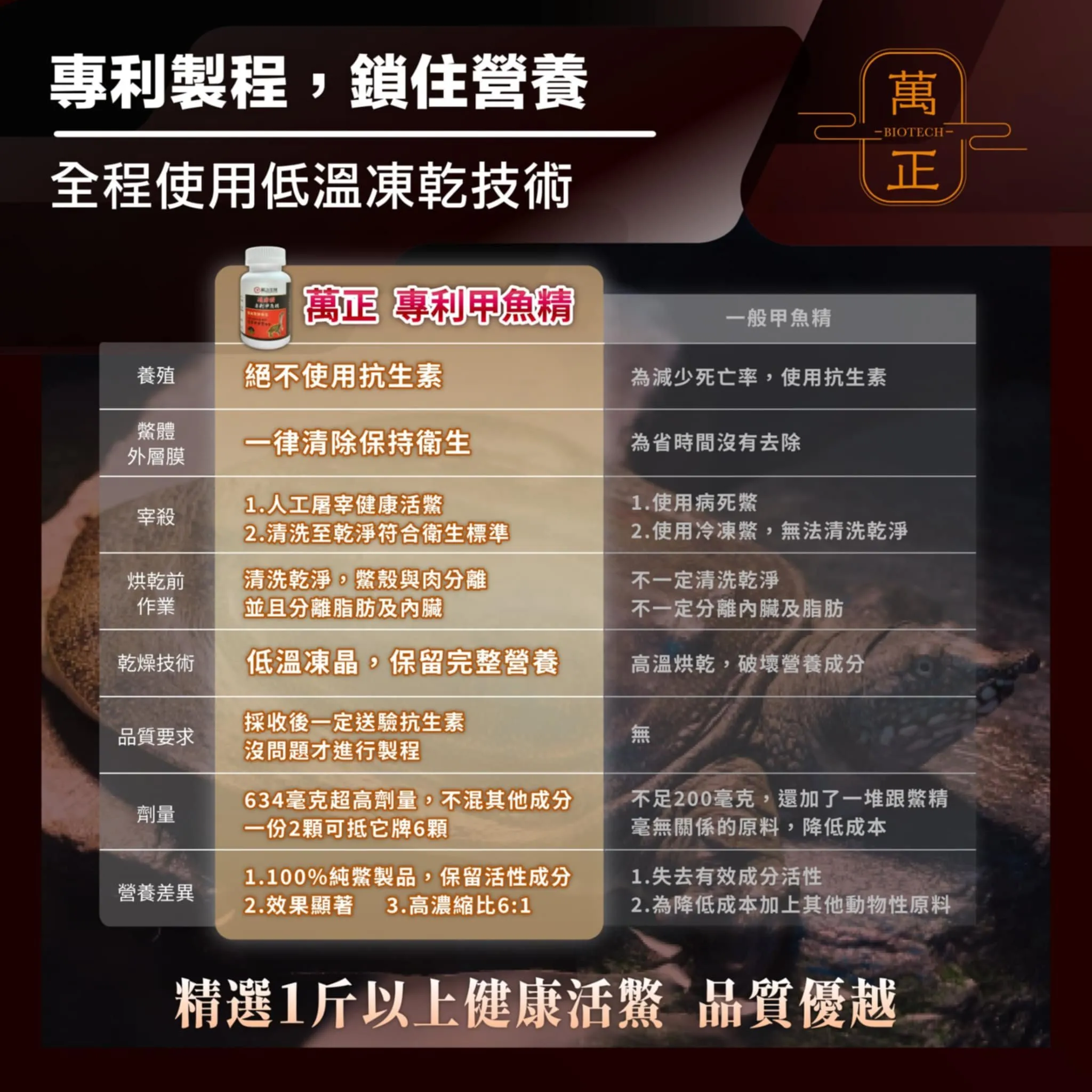 活力頌 專利甲魚精 專利鱉精膠囊  甲魚 甲魚血 甲魚鞭 高達634mg 全甲魚精華