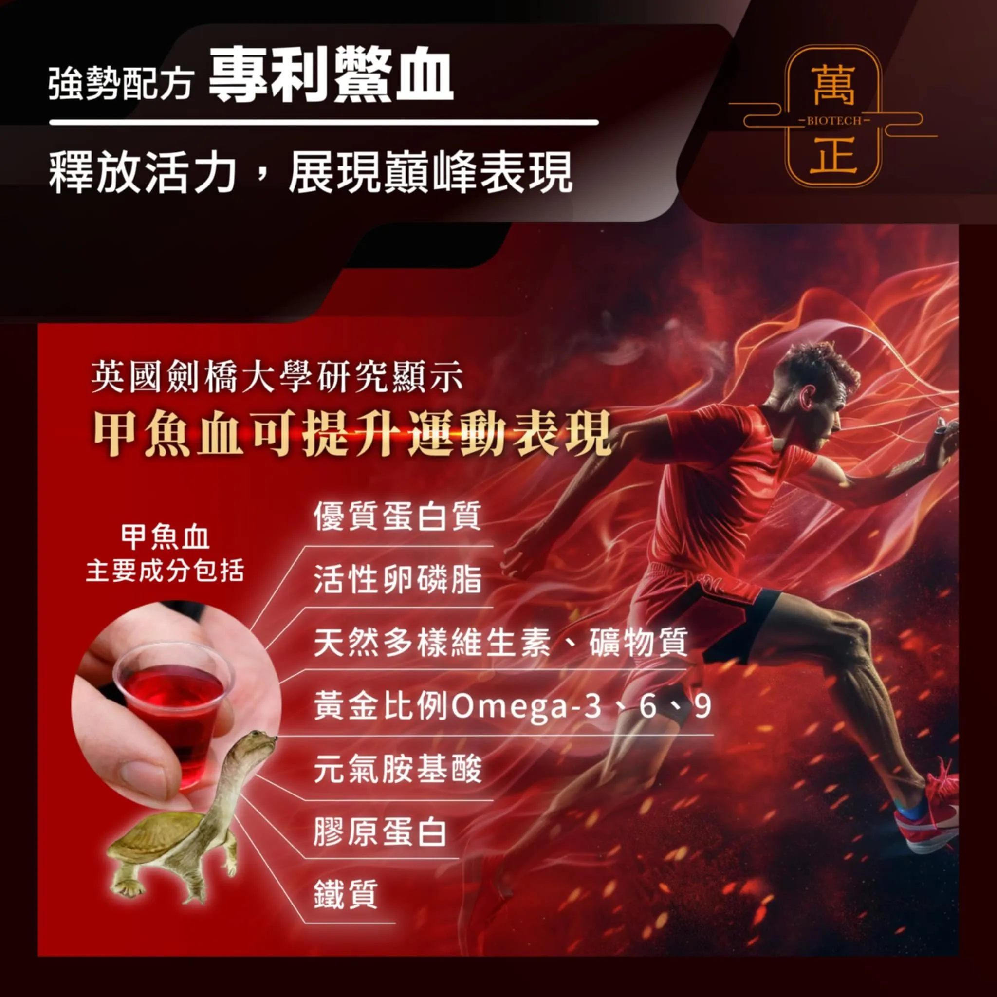 活力頌 專利甲魚精 專利鱉精膠囊  甲魚 甲魚血 甲魚鞭 高達634mg 全甲魚精華