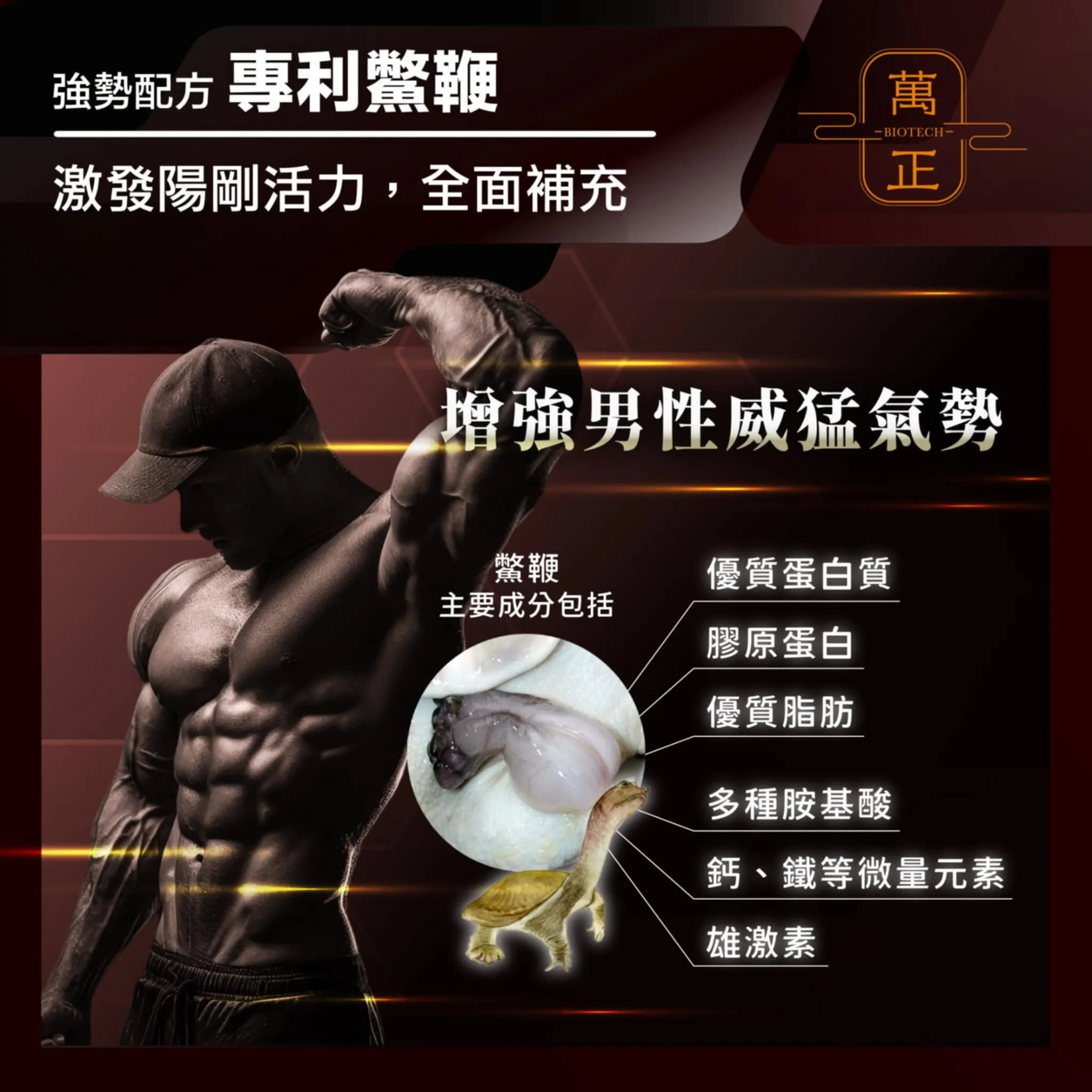 活力頌 專利甲魚精 專利鱉精膠囊  甲魚 甲魚血 甲魚鞭 高達634mg 全甲魚精華
