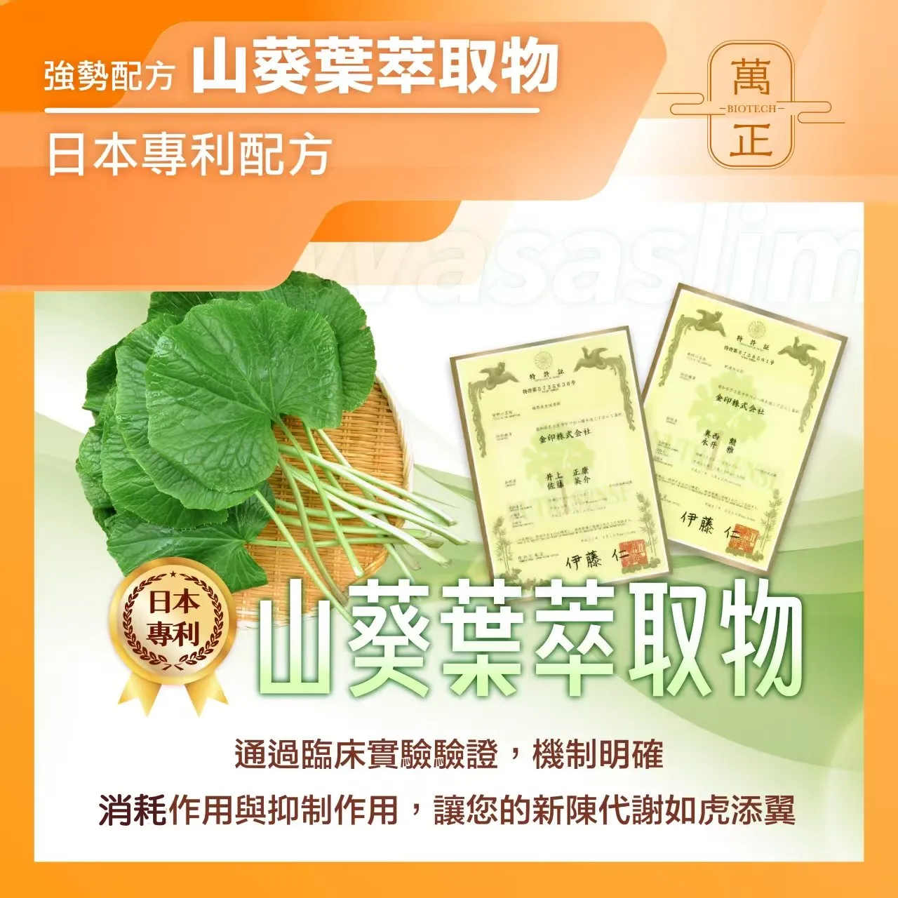 阿糖版 食在輕鬆 低碳蛋白飲 分離乳清 大豆蛋白 山葵萃取 阿拉伯糖 L-Arabinose 非基改  8包送鈣碇 10包送維生素D+K 奶素蛋白粉