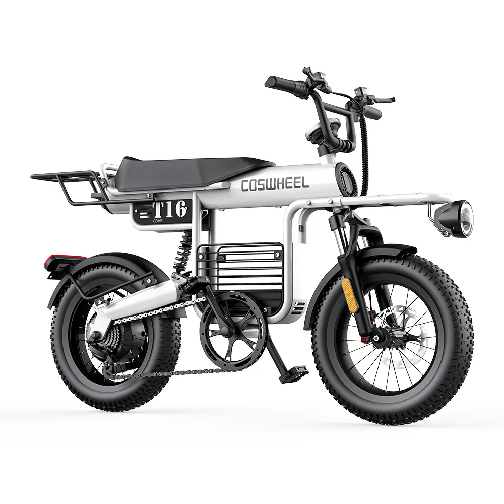 COSWHEEL 電動輔助自行車 T16｜ 48V500W｜ 25AH