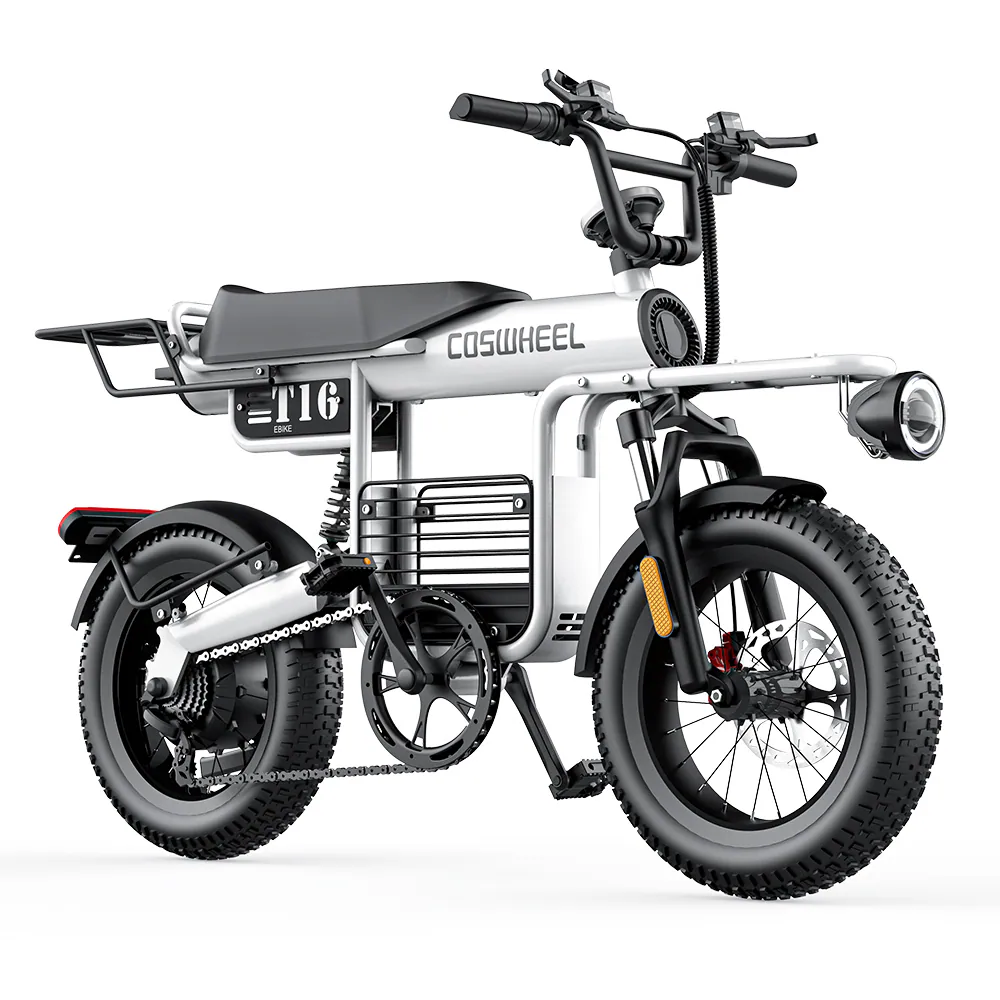 COSWHEEL 電動輔助自行車 T16｜ 48V500W｜ 15AH