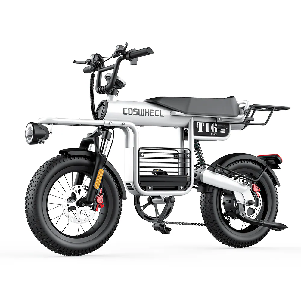 COSWHEEL 電動輔助自行車 T16｜ 48V500W｜ 15AH