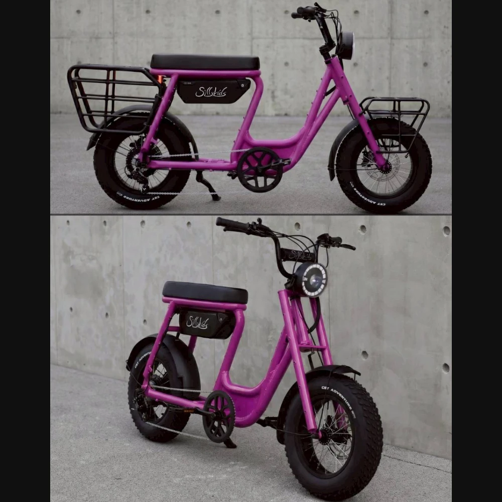 BugS 電輔車
