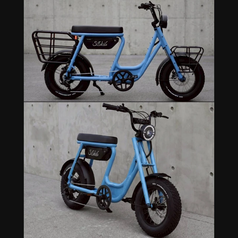 BugS 電輔車
