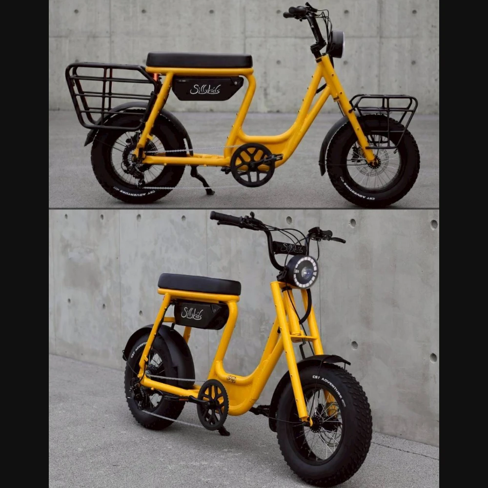 BugS 電輔車